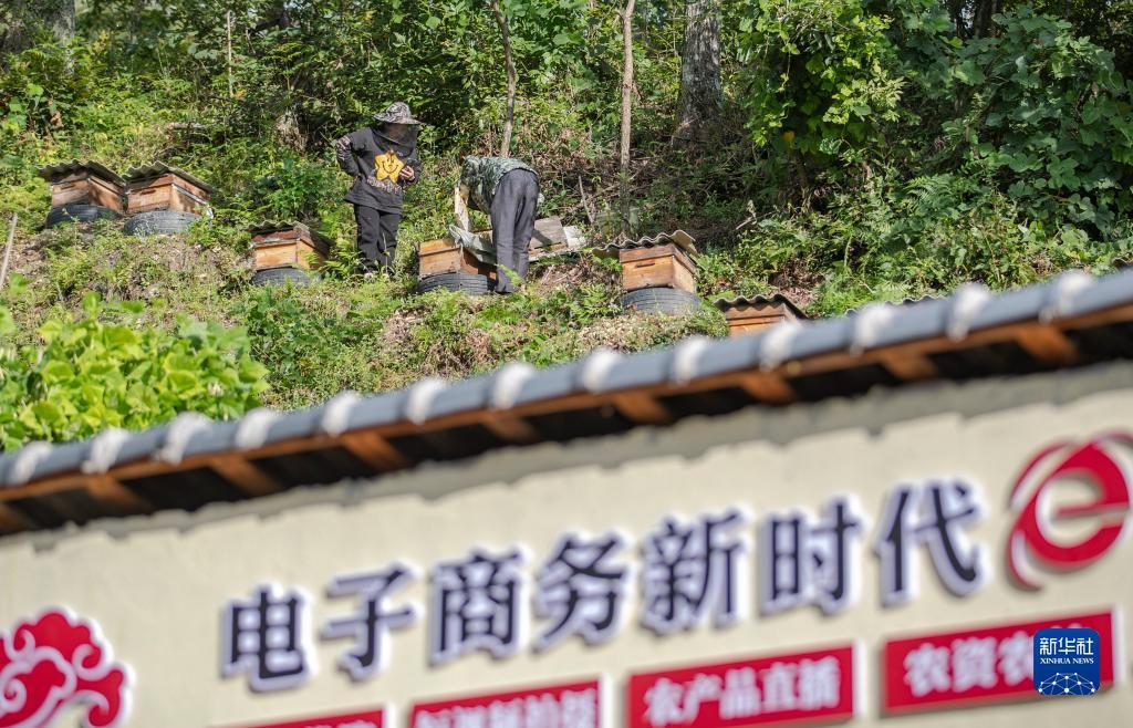 大平台棋牌